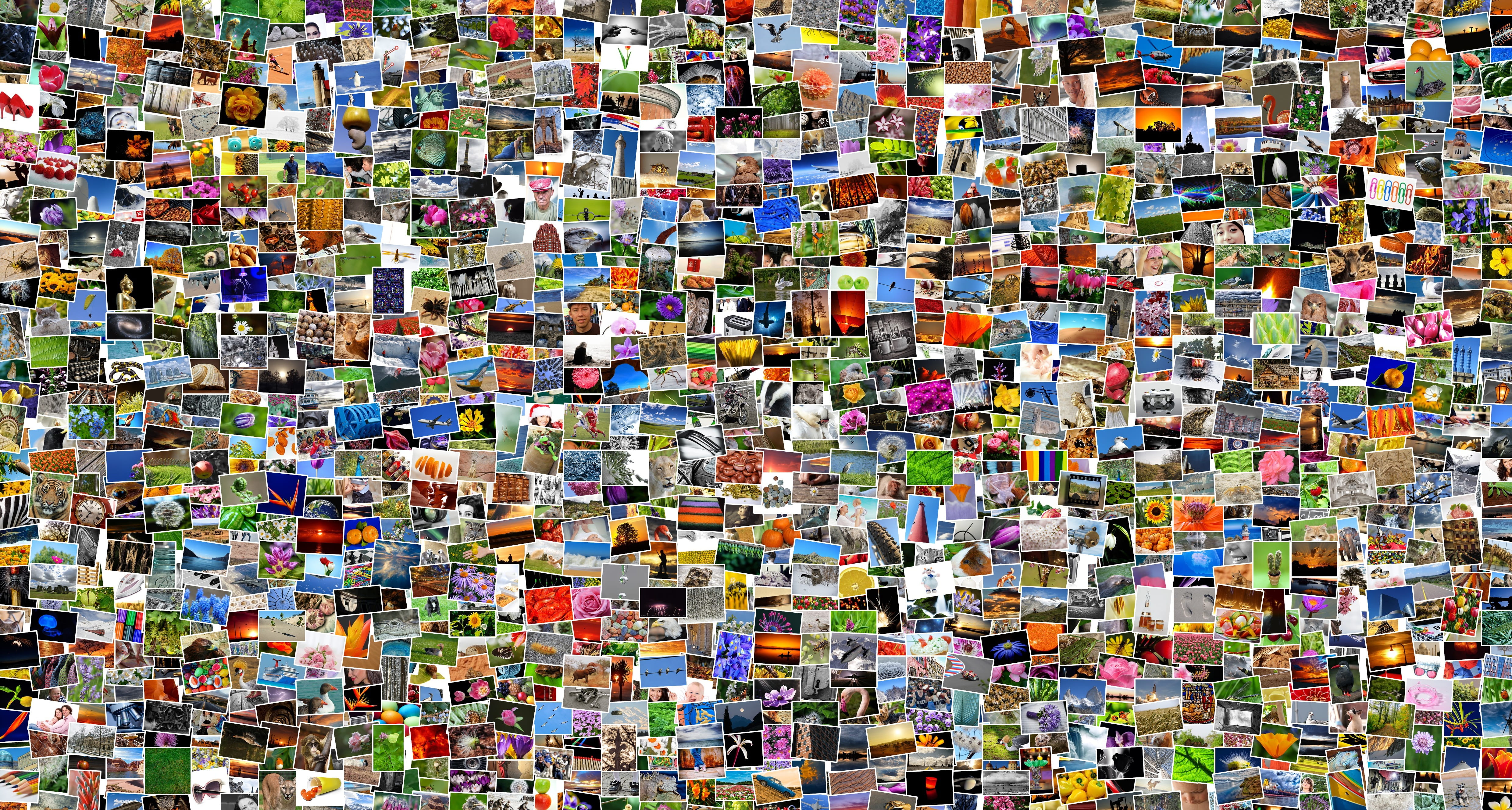 Visuele Analyse & Collectieonderzoek